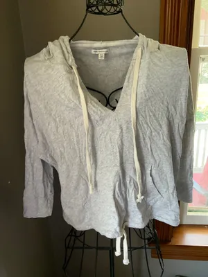 American Eagle Hooded Sweatshirt Sz. M thumbnail 1