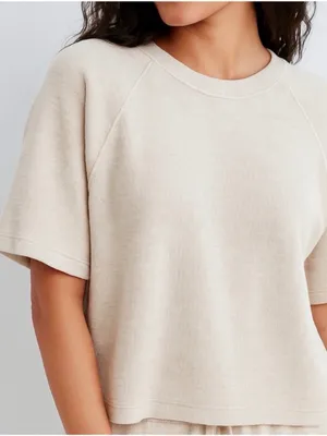 Aerie Beige Ribbed Boxy T-Shirt Beige Large thumbnail 1