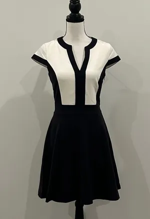 H&M Fit And Flare Dress thumbnail 1
