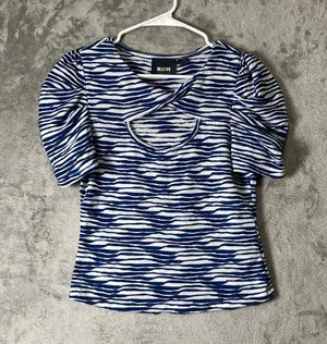 Maeve XS Blue White Zebra Stripe Puff Sleeve Top Coastal Preppy Feminine Dainty thumbnail 1