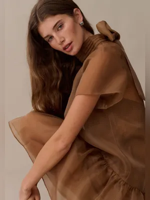 NWT Few Moda Joni Mini Dress Size Large L Brown Sugar organza tie back o.p.t thumbnail 2