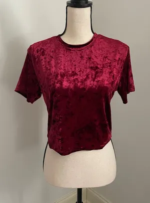 Garage Red Velvet Short Sleeve Tee size XS Modern‎ Crop Boxy Vamp Jewel Tone Top thumbnail 1