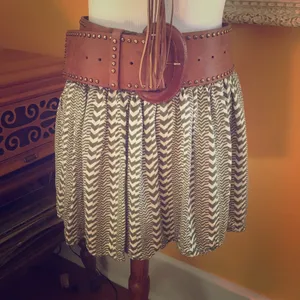 American Eagle 🌵Mini Skirt🌵 thumbnail 2