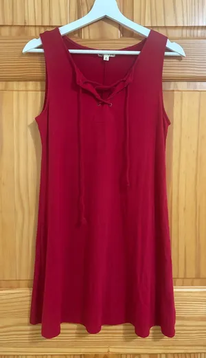 Nordstrom Size Small Deep Red Mini Dress thumbnail 1
