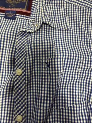 American Eagle Outfitters Blue Gingham Button-Down Shirt thumbnail 5