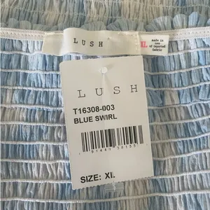Lush Clothing Smocked Babydoll Top XL Blue White‎ Milkmaid Puff Sleeve Cottagecore thumbnail 6