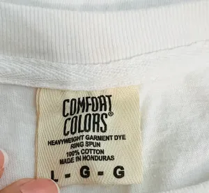 Comfort Colors Florida Gators Graphic T Shirt thumbnail 4