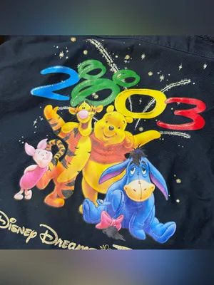 Vintage Jerry Leigh Disney Winnie the Pooh and friends tote bag graphic Florida thumbnail 2