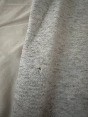 Soft Light Gray Sweatpants thumbnail 3