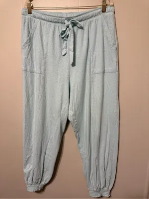 Aerie Womens Ment color Drawstring Jogger Pants L thumbnail 2