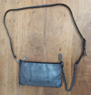 Coach Kylie Metallic Silver Crossbody Mini Purse thumbnail 1