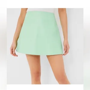 Tuckernuck Meg Mini Skirt S Mint Green Faux Leather A-Line NWT Preppy thumbnail 3