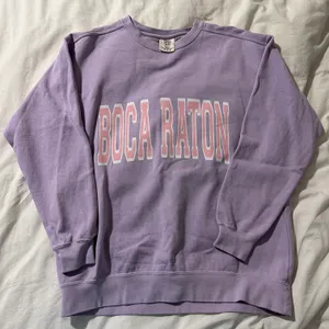 Comfort Colors Graphic Hoodie Lavender thumbnail 1
