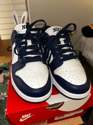Nike Dunk Low Sneakers thumbnail 1