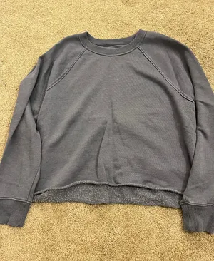 Aerie Cropped Crewneck Sweatshirt thumbnail 1