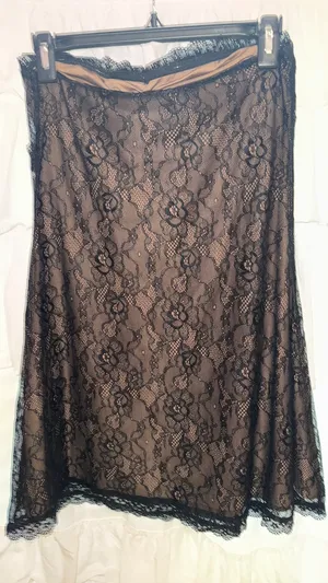 Tiger Mist Mini Dress Black Lace thumbnail 1