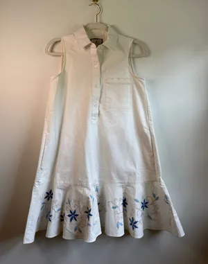 Tuckernuck Dress thumbnail 1