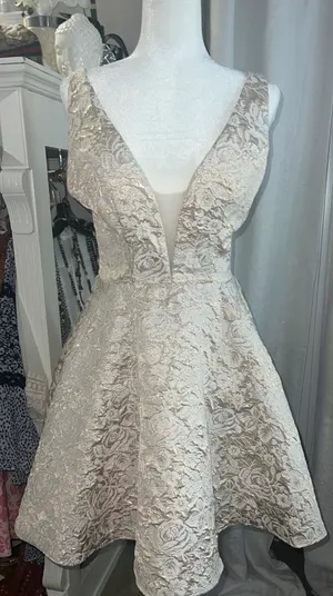 Coya Collection Cream & Gold Metallic Brocade Coquette Mini Dress thumbnail 3