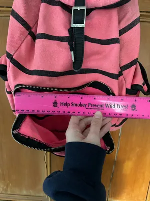 PINK - Victoria's Secret Black & Pink Striped Backpack thumbnail 4