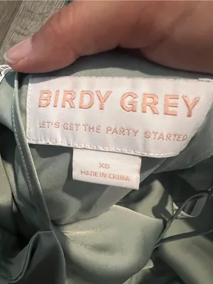 Birdy Grey Catherine Dress - Sage Green (Matte Satin) thumbnail 4