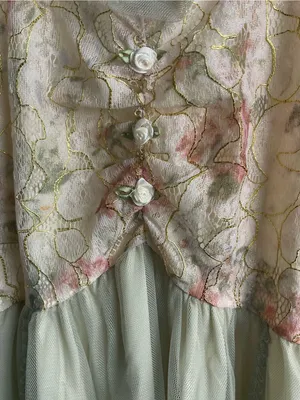 Delicate Lace &‎ Chiffon Slip Dress in Pale Green thumbnail 4