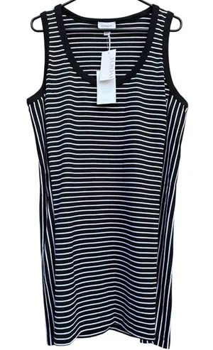 NWT EVEREVE CHARLIE Scoop Neck Pima Cotton Dress Stripe Large Retail $98.00 thumbnail 1
