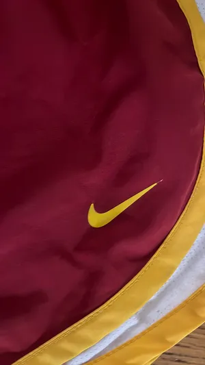 Nike Dri-Fit Shorts thumbnail 4