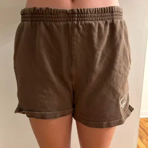BRANDY MELVILLE Lisette Malibu Shorts in Brown Size OS thumbnail 1