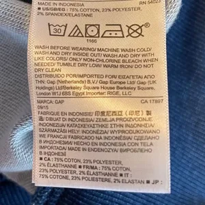 GAP 1969 Pullover Hoodie Blue thumbnail 2