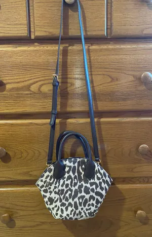 Cheetah Crossbody Bag Multi thumbnail 1