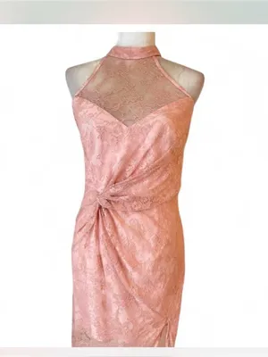 NBD Revolve Dusty Pink Lace Halter Gown Cottagecore Barbie Formal Dress M Prom thumbnail 5