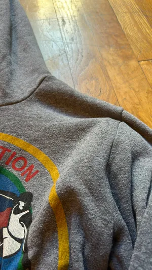 Aviator Nation Grey Hoodie thumbnail 4