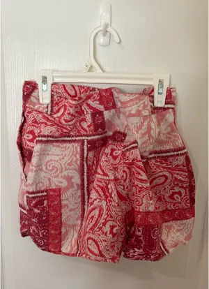 Zara shorts  thumbnail 2