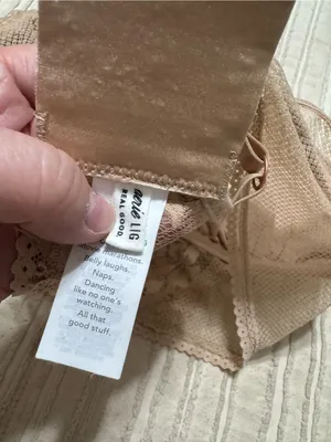 aerie Lace Longline Bralette Tan thumbnail 4