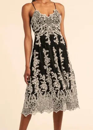 Express Black/Beige Maxi Dress thumbnail 1