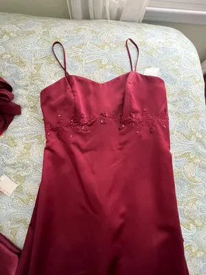 David’s Bridal Burgundy Dress thumbnail 10