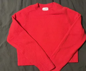 Target Red Sweater Cropped thumbnail 1