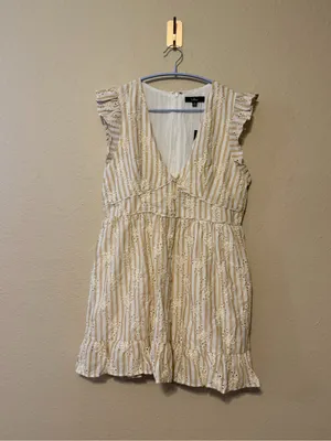 Lulus Sunny Crush Beige and Ivory Striped‎ Embroidered Mini Dress Size XL NWT thumbnail 2
