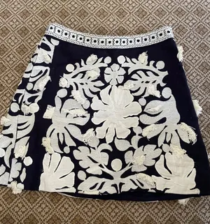 Anthropologie Navy and White Embroidered A-Line Skirt thumbnail 1