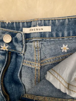 PacSun Shorts thumbnail 3