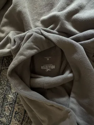 Hollister hoodie thumbnail 3