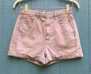 American Eagle Outfitters Women's Size 4 Purple Mom Shorts v6x thumbnail 1
