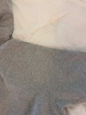 Aritzia Sweatfleece Hoodie thumbnail 3