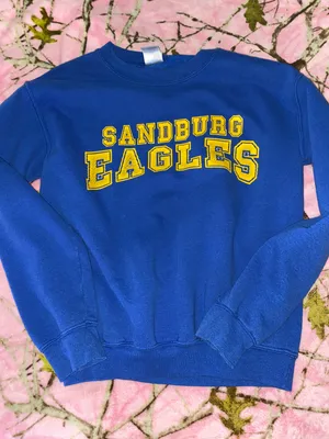 Sandburg Eagles Sweatshirt thumbnail 1