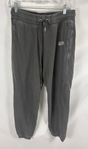 Aerie Wicked Grey Jogger Sweatpant Size Small thumbnail 1
