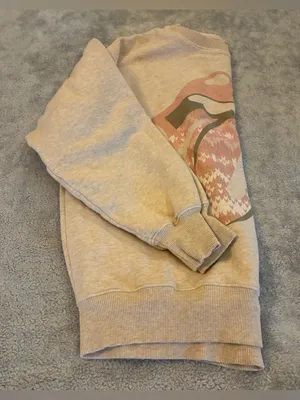 Women’s American Eagle Beige Graphic Crewneck Sweatshirt/Tan Tongue Print Size S thumbnail 4