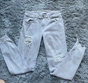 American Eagle  thumbnail 1
