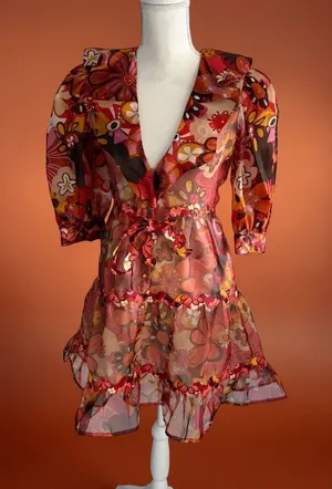 CELIA Floral Multicolor Sheer A Line Dress Size XS thumbnail 1