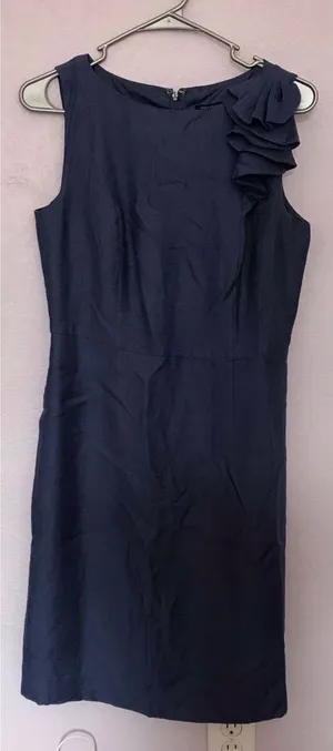 Ann Taylor Dress thumbnail 1