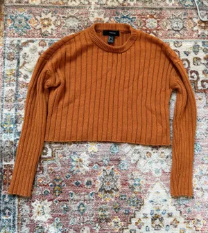 Small Forever 21 Cropped Sweater thumbnail 1